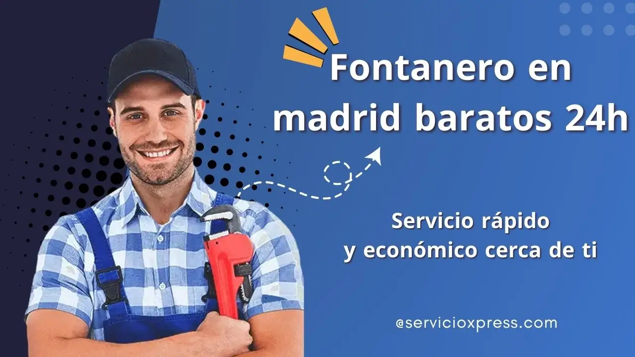 Fontanero madrid baratos