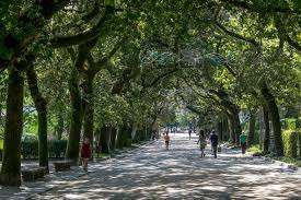 Alameda