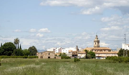 Almassora
