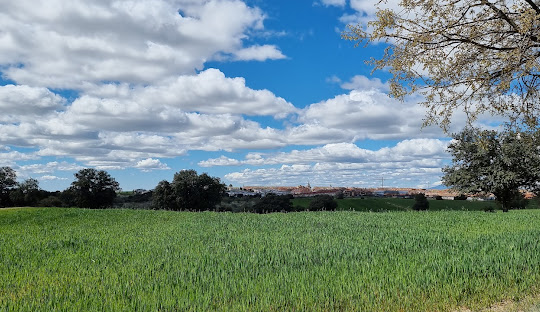 Sevilla la Nueva