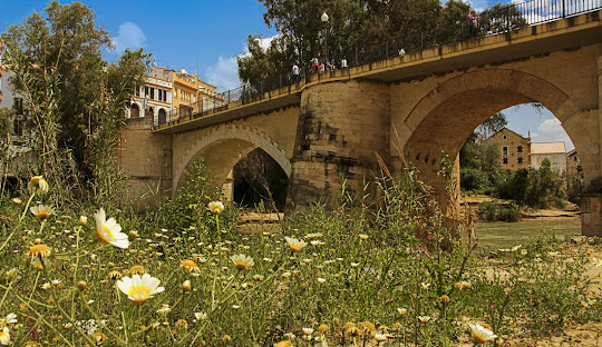 Puente Genil