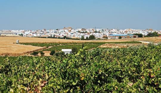 Montilla