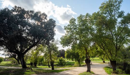 Boadilla del Monte